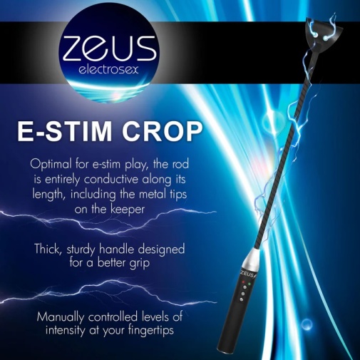 Zeus Electrosex - 電刺激馬鞭 - 黑色 照片