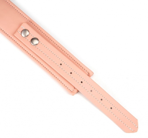 Liebe Seele - Organosilicon Collar w Leash - Pink photo
