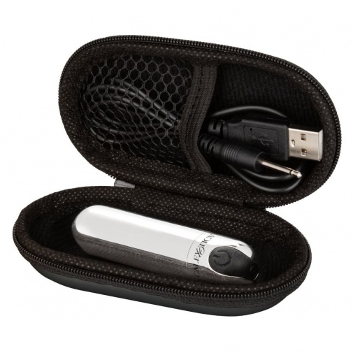 CEN - Hideaway Bullet - Silver photo