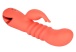 CEN - CalDream Orange County Thrusting Vibrator 照片-5