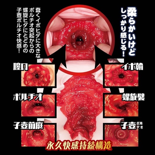 NPG - 保健室老師淫蕩的身體檢查 照片