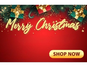 Christmas Sale at TakeToys 