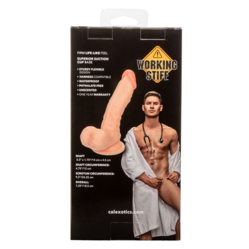 CEN - 工作期间医生僵硬的仿真阳具 - 肉色 照片