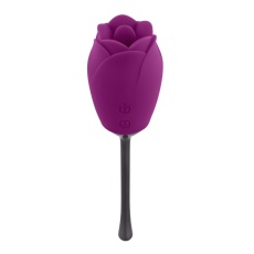 Playboy - Petal Vibrator - Purple/Black photo