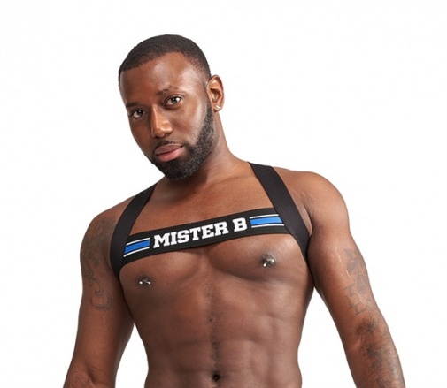 Mister B - Urban Club X-Back Harness - Striped Blue photo