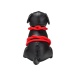 Prowler - Roped Up Rover Puppy - Black 照片-4