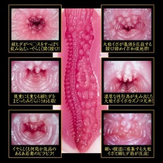 NPG - Tsukasa Aoi 2nd Generation Masturbator photo