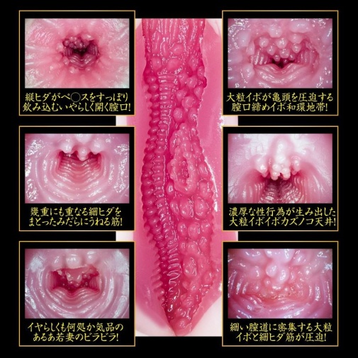 NPG - 葵司 募集若妻 2代目 自慰器  照片
