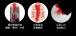 MyToys - FrenchKiss Masturbator w/Tongue - Black photo-6
