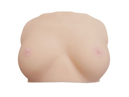 KMP - 3D掃描 - 星美梨香的乳房 照片