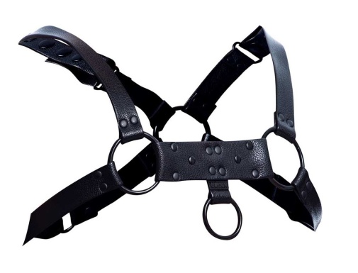 Cut4men - Party Male Harness - Black photo