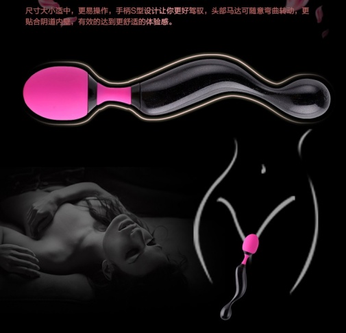 Adrien Lastic - Symphony 魔杖按摩棒 照片