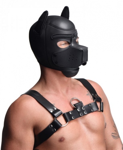 Master Series - Spike Neoprene 犬形頭罩 - 黑色 照片