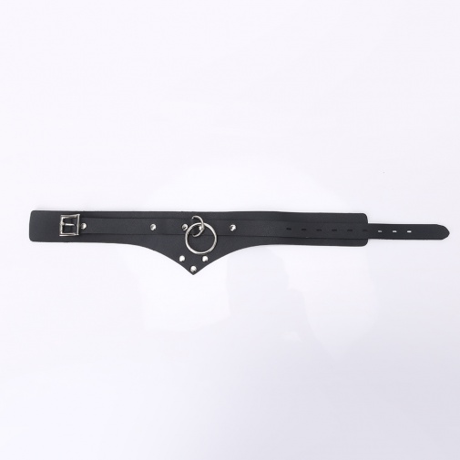 MT - Collar 6 photo