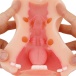 Ondo - NUPU3 Double Side Masturbator Mouth and Pussy 照片-8