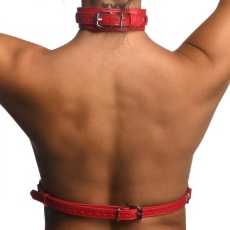 Strict - Female Chest Harness - Red - M/L photo