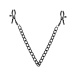 Bedroom Fantasies - Nipple Clamps w Chain - Black photo