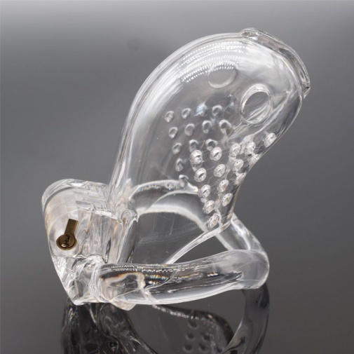 FAAK - Long Bird Chastity Cage - Clear photo
