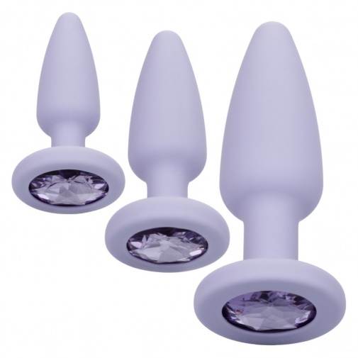CEN - First Time Crystal Booty Kit - Purple photo