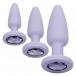 CEN - First Time Crystal Booty Kit - Purple photo