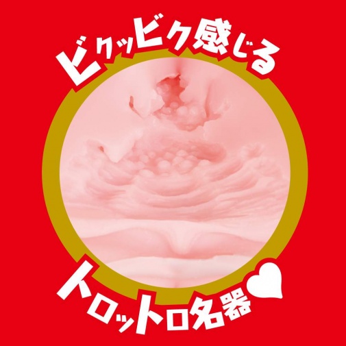 EXE - 安齋拉拉女優仿真自慰器 照片