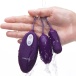 Erocome - Lyra Duo Egg - Purple photo-2