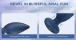 Honey Play Box - Noah Rotating App Butt Plug - Navy Blue photo-7