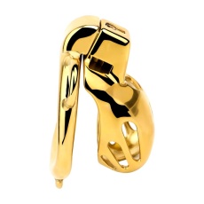 FAAK - Chastity Cage 184 - Gold 照片