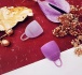 Formoonsa - Menstrual Cup 2G Soft Conical 42ml photo-5