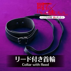 T-Best - Soft SM 10件套装 - 黑色 照片