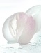 Juicy Pussy - Crystal Rose Masturbator - Clear photo-7