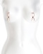 NS Novelties - Bound C1 Nipple Clamps - Rose Gold photo-2