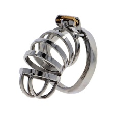 Hidden Desire - Metal Chastity Cage  photo