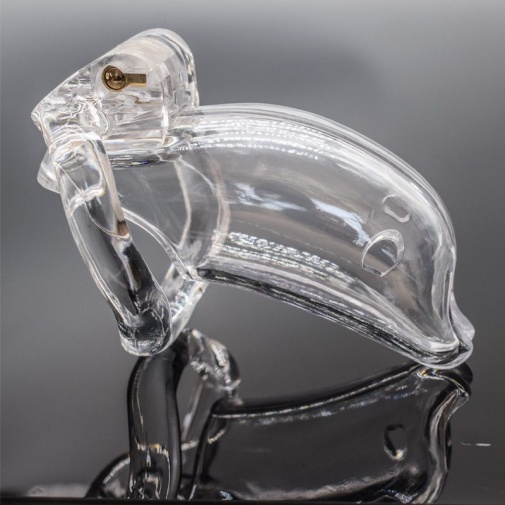 FAAK - Long Dolphin Chastity Cage - Clear photo