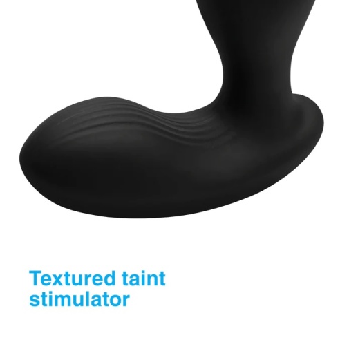 Alpha-Pro - P-Stroke Prostate Stimulator 照片