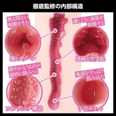 SSI - Akari Mitani Japanese Real Hole Masturbator 照片