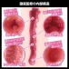 SSI - Akari Mitani Japanese Real Hole Masturbator 照片-2