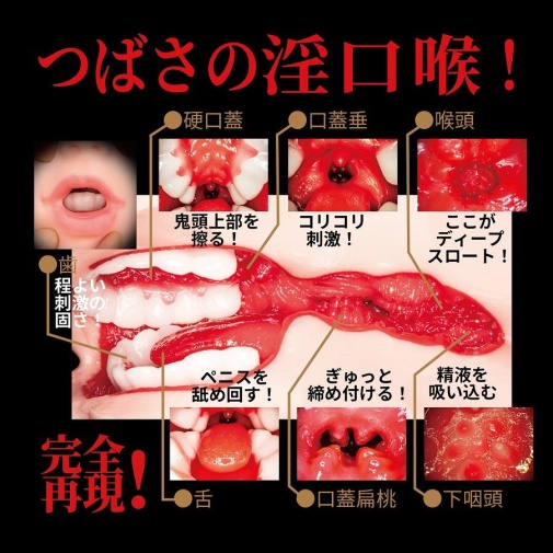 NPG - 八乃翼 激口交 自慰器 照片