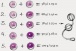 Gvibe - Geisha Balls 2 - Pink photo-6