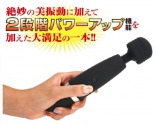 NPG - Arina Hashimoto Denma Massager - Black photo