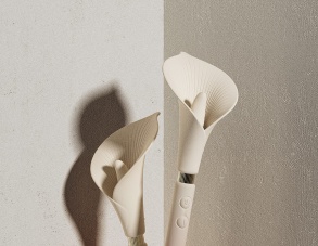 [Unboxing] Zalo Calla Dual Head Vibrator – A Symphony of Elegance and Functionality