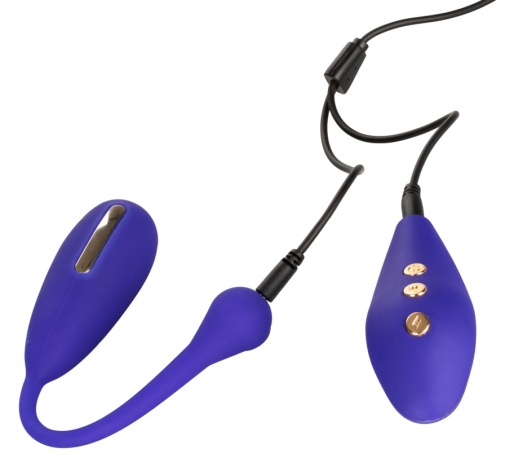 CEN - Impulse E-Stimulator Kegel Exerciser - Purple photo