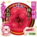 NPG - Rei Kamiki Soft Masturbator photo-10