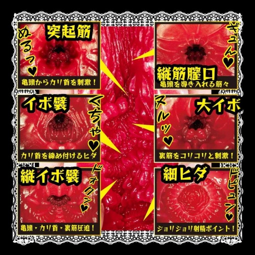 NPG - Immediate Service 女僕深田詠美自慰器 照片