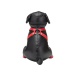 Prowler - Booted Up Bandit Puppy - Black photo-4