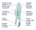 Satisfyer - Air Pump Bunny 5 充气兔子震动棒 - 蓝色 照片-7
