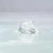 SSI - 滿開女性高潮霜 - 12克 照片-3
