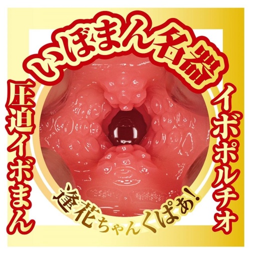 NPG - 山岸逢花 AV女优迷你自慰器 照片