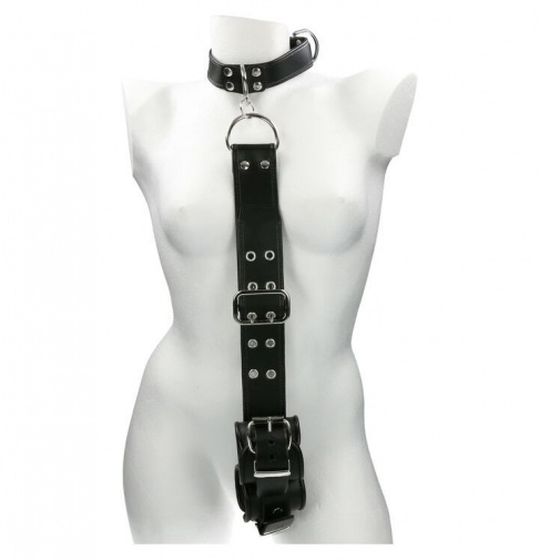 Mister B - Leather Slave Collar w Cuffs - Black photo