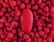 Zalo - Jeanne Massagers - Bright Red photo-3